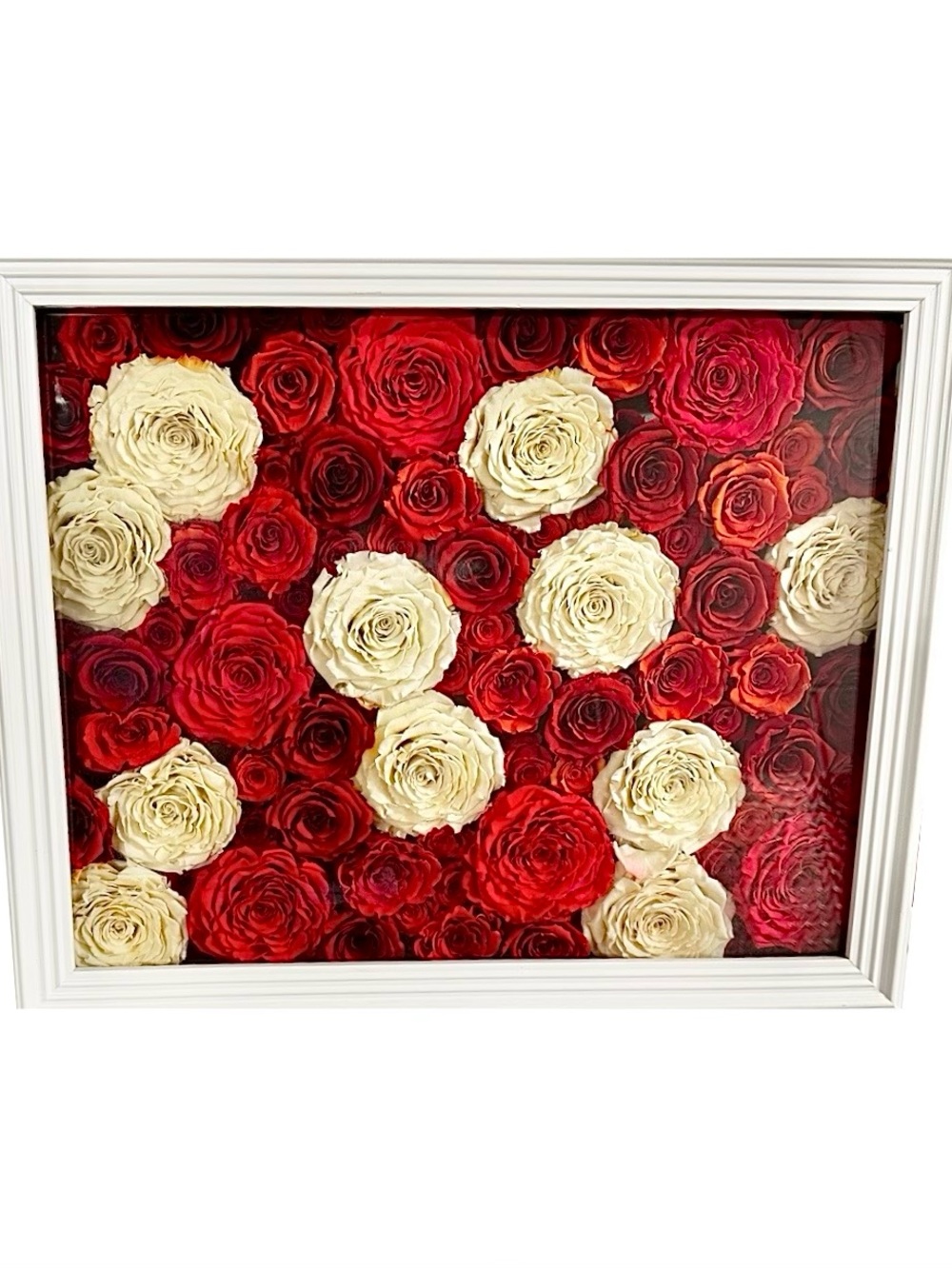 Framed Forever Red and Ivory Rose Shadow Box Art